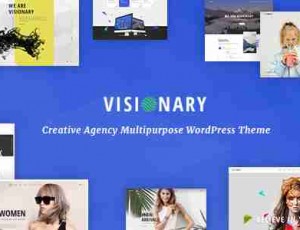Visionary v1.4.3 -创意代理多用途WordPress主题