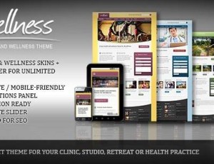Wellness v2.0.1 – 健康与健康WordPress主题