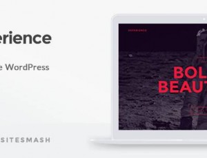 experience v1.2 – 展示WordPress主题