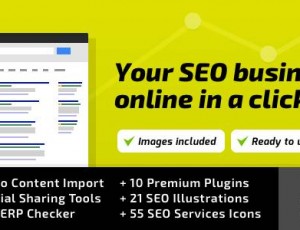 SEO WP v2.2.2 – 网络营销，搜索引擎优化，社交媒体代理WordPress主题