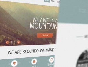 Secundo v2.9 – 响应投资组合WP主题