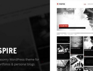 Inspire v10.5 -多用途，砖石主题
