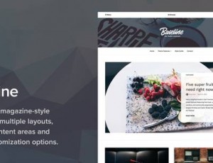Baseline v1.2.9 – 杂志WordPress主题
