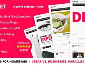 MAGNET v2.0 -创意商业WordPress主题