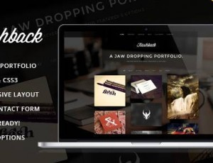 Flashback v2.0.0 -投资组合WP主题