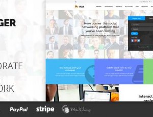 TIGER – 公司和专业人士的社交网络主题