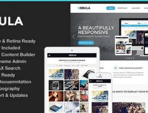 Nebula v1.5.6 -WordPress响应多用途主题