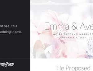 Emma v2.0.1 – 响应式婚礼WordPress主题