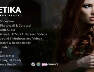 Kinetika v6.5 -WordPress 全屏摄影主题