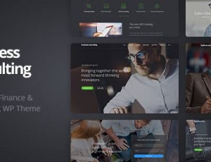 Business Consulting v1.1.7 -WordPress主题