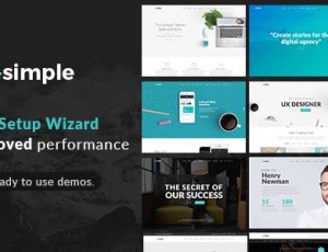 The Simple v2.7.2 – WordPress响应多用途商业主题