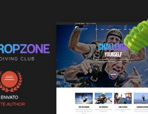 Dropzone v1.0.1 – 响应WordPress主题