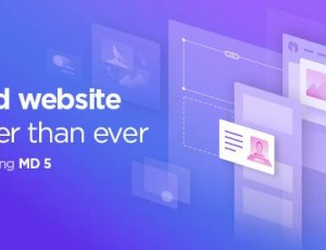 Massive Dynamic v8.0-商业WordPress主题