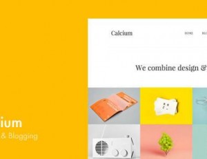 Calcium v1.4 -极简投资组合和博客主题