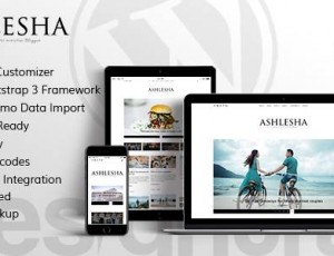 Ashlesha v1.0 – 博客WordPress主题
