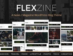 FlexZine – WordPress杂志主题