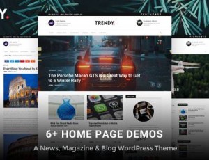Trendy Pro — 响应新闻杂志博客主题