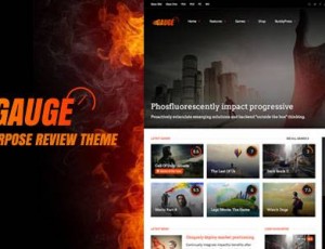 Gauge v6.41.1-多用途评论主题