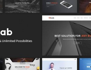 Okab v5.0.6- 响应式多用途WordPress主题