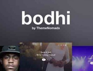 Bodhi 1.0.2一页WordPress主题