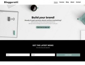 Bloggeratti – WordPress Divi主题