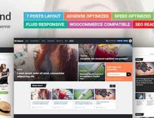 Dividend v1.2.2- 终极杂志WordPress主题