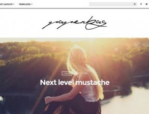 Paperbag v1.3 -WordPress博客主题