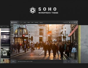 SOHO v2.7.1 – 全屏照片和视频WordPress主题