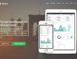Struct v1.1 – WordPress的商业主题