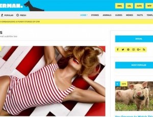 Doberman v1.3.1 – WordPress的病毒主题