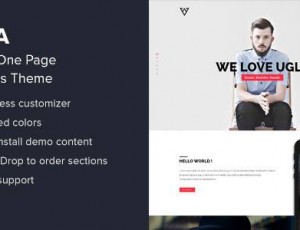 Viska v1.9.1 – 创意一页WordPress主题
