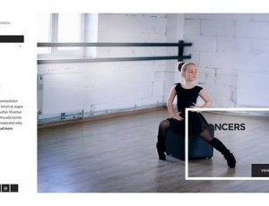 Eclecticon v1.1 – WordPress的投资组合主题