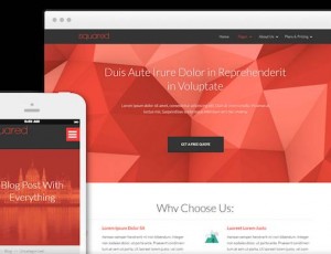 ThriveThemes – Squared v1.300.10 – WordPress主题