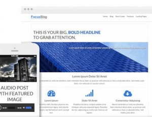 FocusBlog v1.300.10 – 多用途WordPress主题