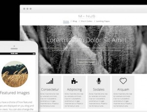 Minus v1.300.10 – WordPress主题