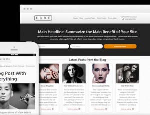 Luxe v1.300.10 – WordPress主题