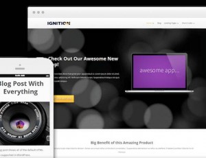 ignition v1.300.10 – WordPress主题