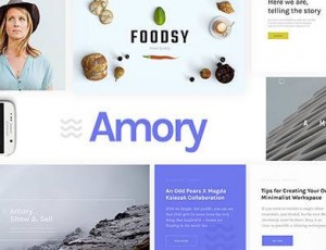 Amory v2.0 – 响应多用途WordPress主题