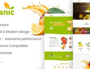 AmyOrganic v1.0.2 – 有机和健康的WordPress主题