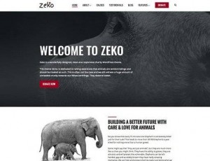 Zeko v1.0.9 – 非营利WordPress主题