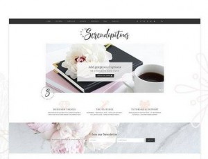 Hello Serendipitous v1.0.2 – WordPress主题