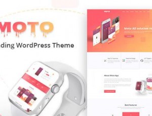 Moto v1.1.6 – WordPress着陆页主题