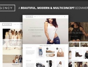 Regency v1.8.0 – 美丽和现代的电子商务WordPress主题