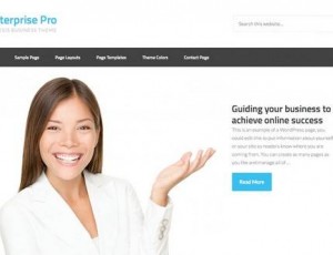 Enterprise Pro v2.1.2 – WordPress主题