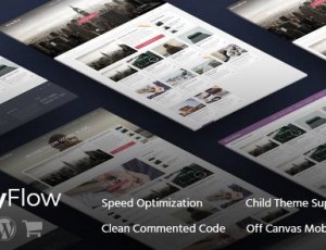 MoneyFlow v1.2.1 – 现代和专业WordPress主题