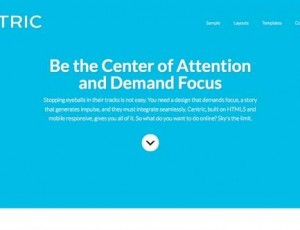 Centric Pro v1.1.2 – WordPress主题