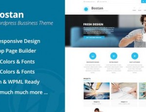 Bostan v6.44 – 商业WordPress主题