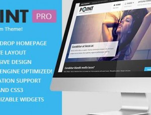 PointPro v2.2.2 – 速度与搜索引擎优化WordPress博客主题