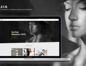 FLEVR v1.8 – WordPress主题