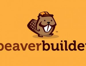 beaver builder theme v1.7.1.4 – WordPress的框架主题